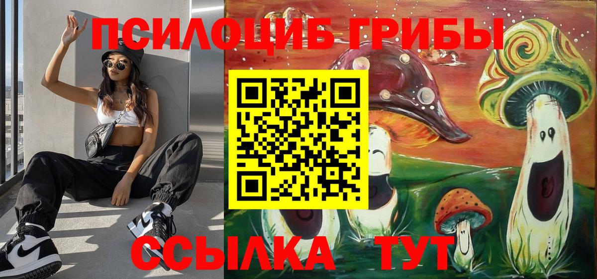 Псилоцибиновые грибы мицелий  Псилоцибиновые грибы Psilocybine cubensis  купить наркотики цена  Мурино  Вход с VPN 